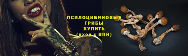 соль ск Алексин