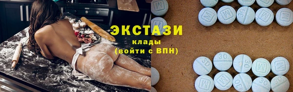 ECSTASY Алзамай