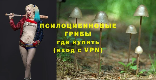 ECSTASY Алзамай
